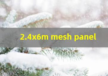  2.4x6m mesh panel